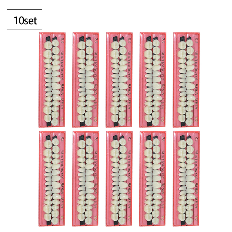 Dental 3D Printer Resin - 28 Zähne Dental Harz Prothese Set